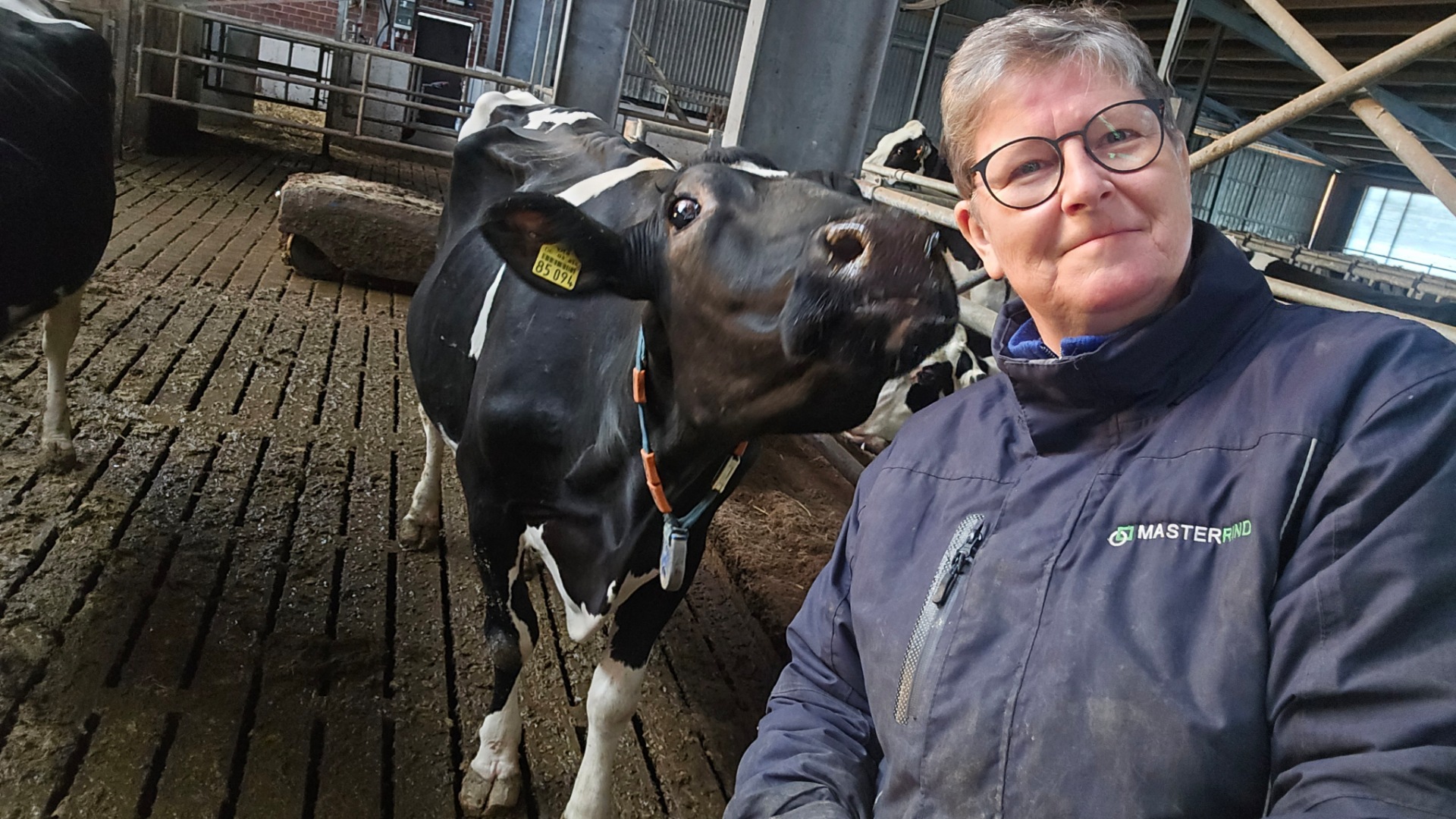 Blogparade von Dr. Anke Cras