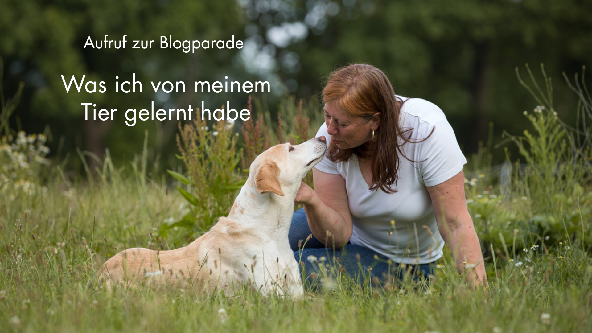 Blogparade von Katja Hammerschmidt