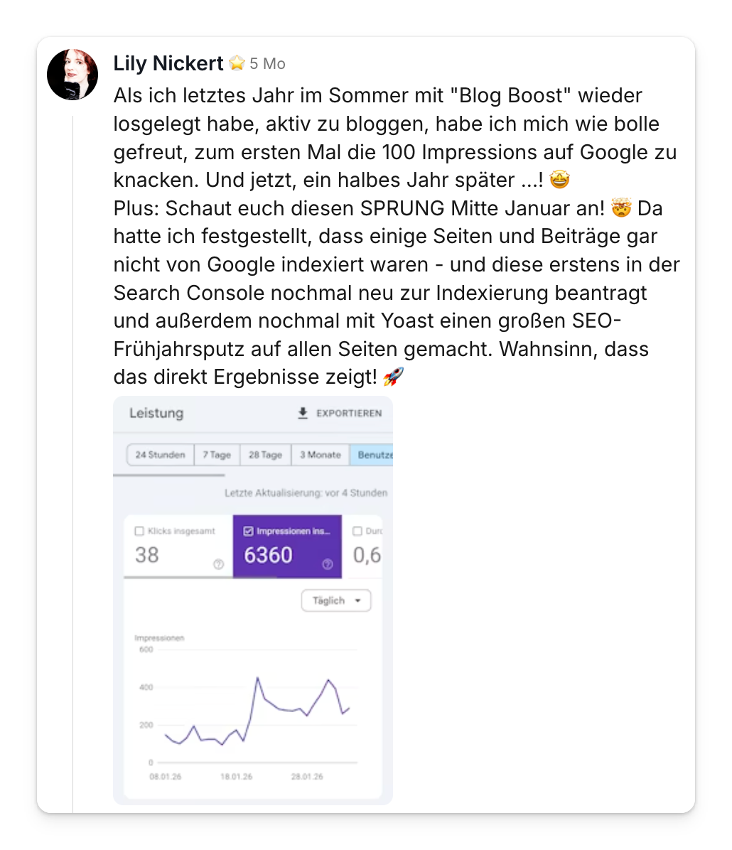Community-Beitrag von Lily Nickert: Nach SEO-Arbeit und neuer Indexierung springen die Impressionen in der Search Console auf 6.360